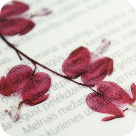 flowers on book page